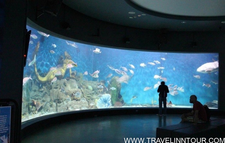 Melbourne Aquarium