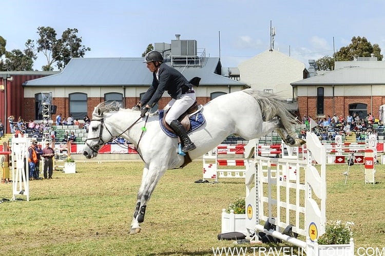 Royal Melbourne Show 