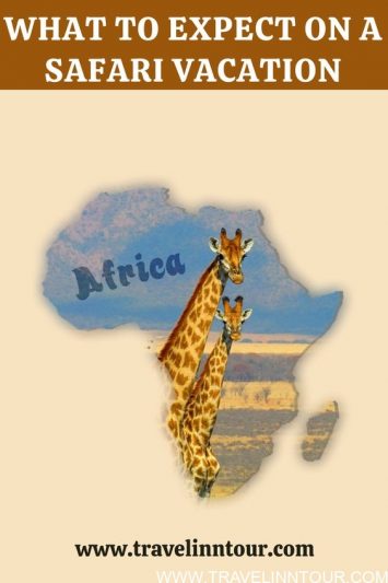 Safari Vacation In Africa