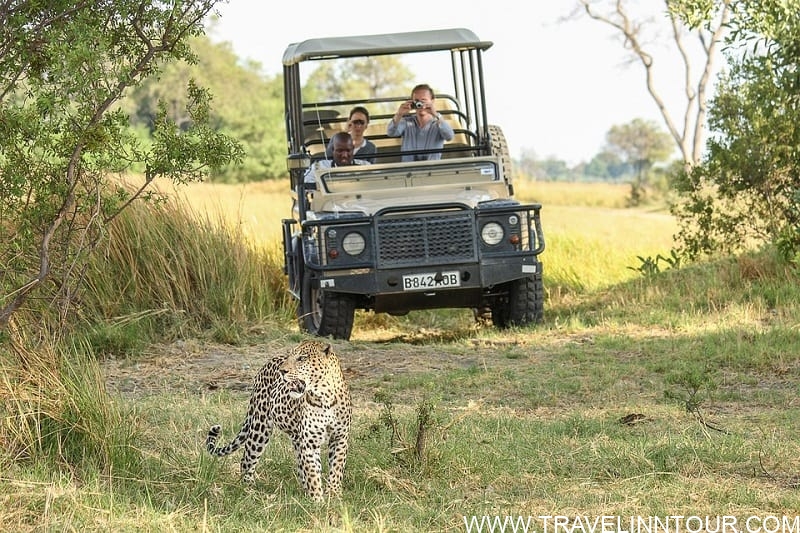 leopard-safari vacation in Africa