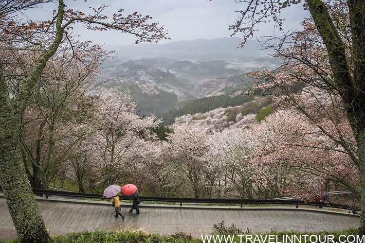 Nara Prefecture Yoshino