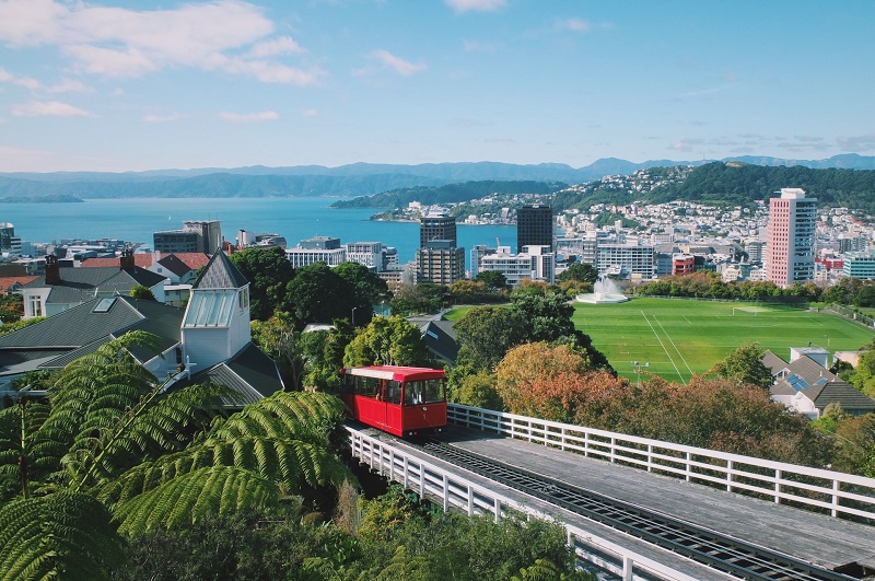 Wellington New Zealand Best Places to Live in New Zealand for Families 1