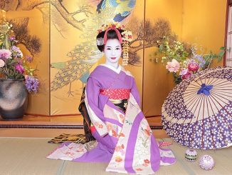 maiko trial photoshooting Gion District