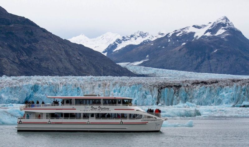 Combining Whale Watching with Glacier Tours