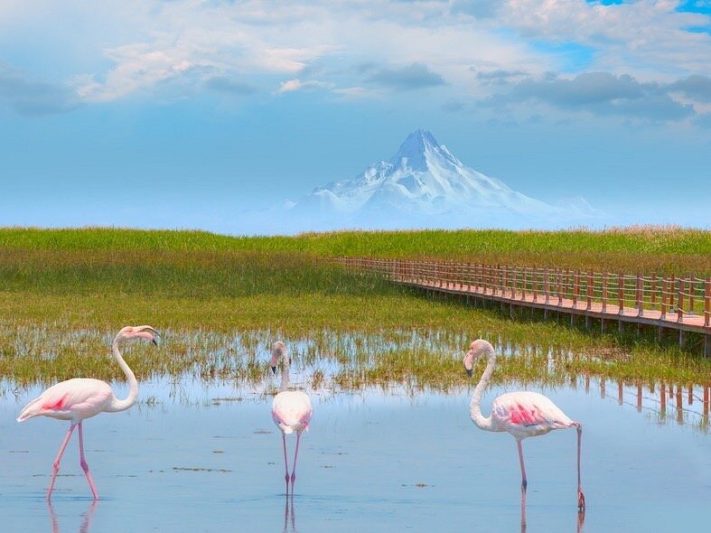 one of the most exciting Sultan Marshes National Park