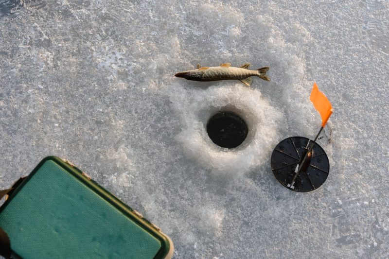 Ice Fishing and Open Water Fishing