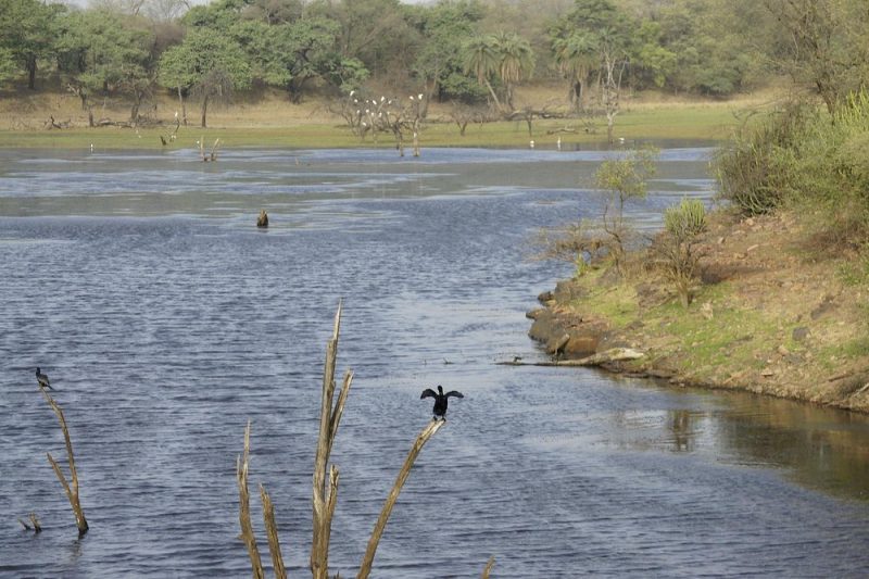 surwal lake